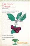 Jubileum Cherry